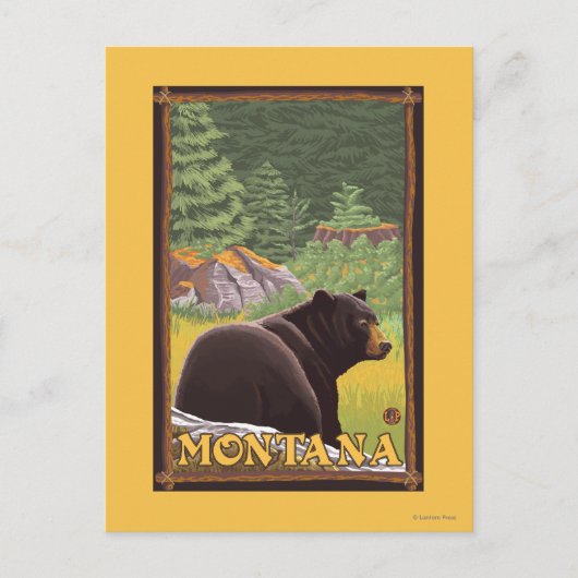 Carte Postale Ours noir en forêt - Montana (Devant)