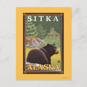 Carte Postale Ours noir en forêt - Sitka, Alaska