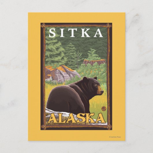 Carte Postale Ours noir en forêt - Sitka, Alaska (Devant)