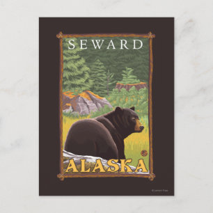 Carte Postale Ours Noir en Forêt - Vent, Alaska