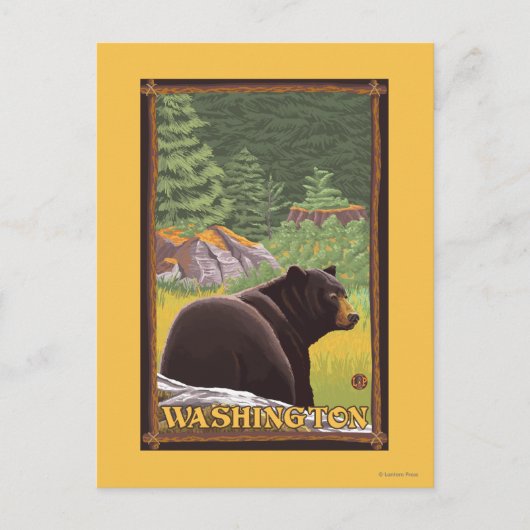 Carte Postale Ours noir en forêt - Washington (Devant)