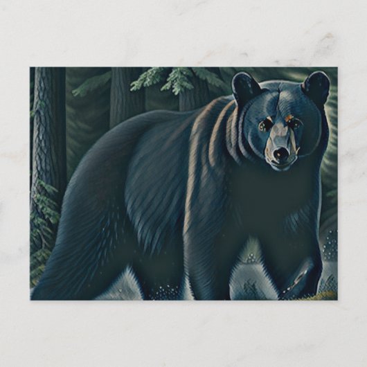 Carte Postale Ours Noir Majestueux De La Forêt Du Nord (Devant)