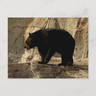 Carte Postale Ours noir (oeuvre originale)