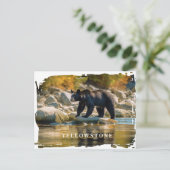 Carte postale Ours noir Yellowstone (Debout devant)