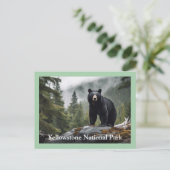 Carte postale Ours noir Yellowstone (Debout devant)