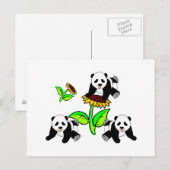 Carte Postale Ours Panda (Devant / Derrière)