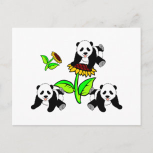 Carte Postale Ours Panda