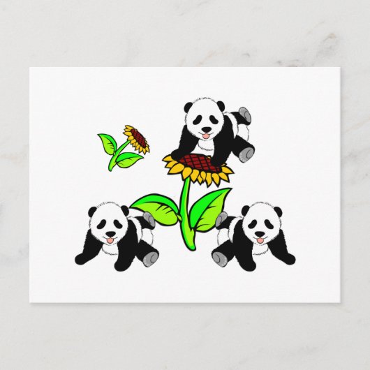 Carte Postale Ours Panda (Devant)