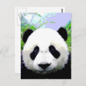 Carte Postale Ours Panda (Devant / Derrière)