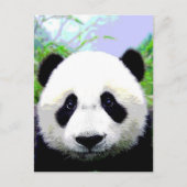 Carte Postale Ours Panda (Devant)