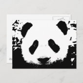 Carte Postale Ours Panda (Devant / Derrière)