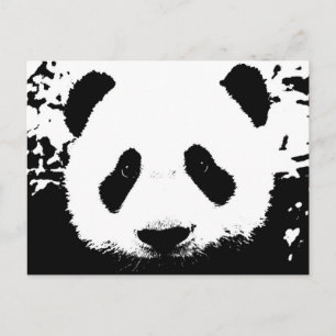 Carte Postale Ours Panda