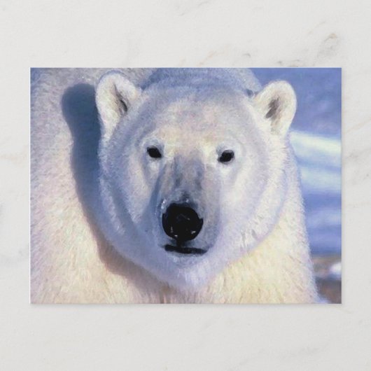 Carte Postale Ours polaire (Devant)