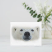 Carte Postale Ours polaire (Debout devant)