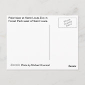 Carte Postale Ours polaire (Dos)