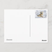 Carte postale Ours polaire (Dos)