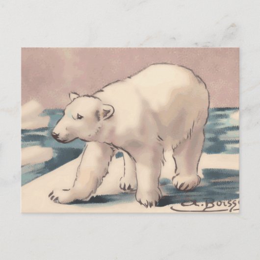 Carte Postale Ours polaire (Devant)