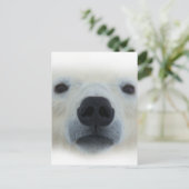 Carte Postale Ours polaire (Debout devant)