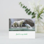 Carte postale Ours Polaire (Debout devant)