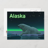 Carte Postale Ours polaire à bord de glace (Devant / Derrière)