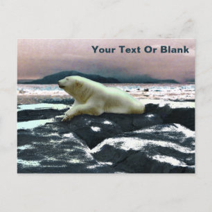 Carte Postale Ours polaire à fonte printanière