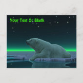 Carte postale Ours Polaire Bord De Glace (Devant)