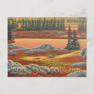 Carte postale Ours Polaire Cartes postales Ours D'