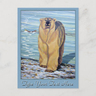 Carte postale Ours Polaire Cartes postales Ours Po