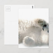 Carte Postale Ours polaire Cube Animal Arctic Froid Hiver (Devant / Derrière)