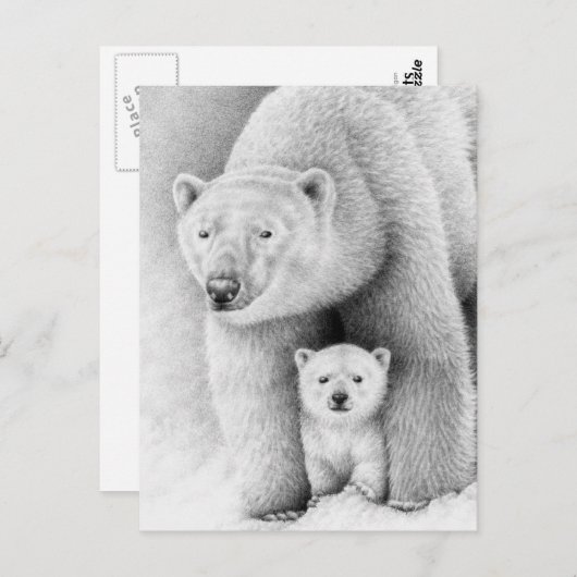 Carte postale Ours polaire et Cube (Devant / Derrière)