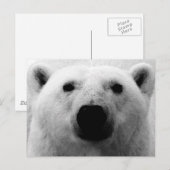 Carte Postale Ours polaire noir et blanc (Devant / Derrière)