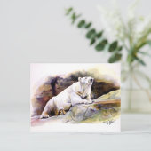 Carte postale Ours Polaire Repose (Debout devant)