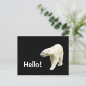 Carte Postale Ours polaire sur Black Hello (Debout devant)