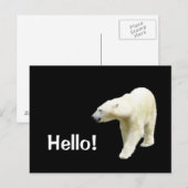 Carte Postale Ours polaire sur Black Hello (Devant / Derrière)