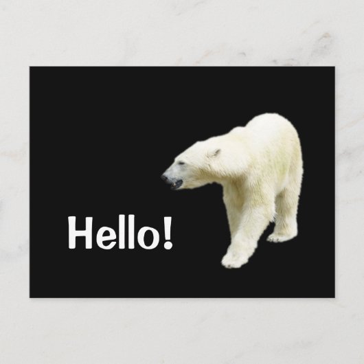 Carte Postale Ours polaire sur Black Hello (Devant)