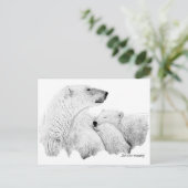 Carte Postale Ours polaires (Debout devant)