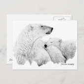 Carte Postale Ours polaires (Devant / Derrière)