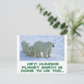 Carte Postale Ours polaires cool (Debout devant)