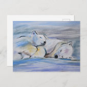 Carte Postale Ours polaires couchés (Devant / Derrière)