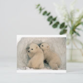 CARTE POSTALE OURS POLAIRES DE BÉBÉ TWIN (Debout devant)
