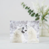 Carte Postale Ours polaires jouant dans la neige (Debout devant)