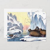 Carte Postale Ours Polaires, Walrus Et Phoques (Devant / Derrière)