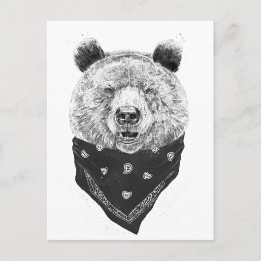 Carte Postale Ours sauvage (Devant)