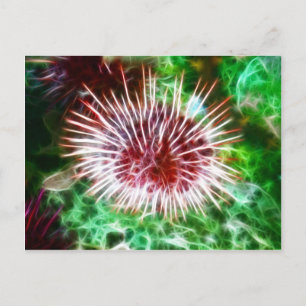 Carte Postale Oursin rouge brillant