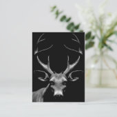 Carte postale Out of the Shadows (Debout devant)