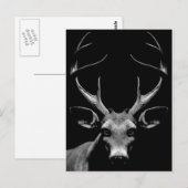 Carte postale Out of the Shadows (Devant / Derrière)