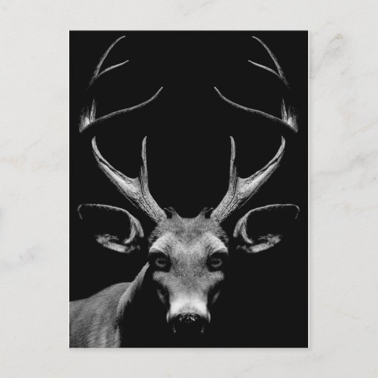 Carte postale Out of the Shadows (Devant)