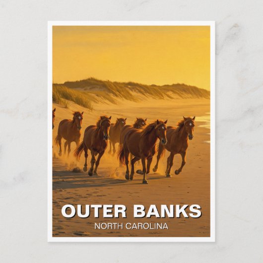 Carte Postale Outer Banks Caroline du Nord Chevaux Voyage (Devant)