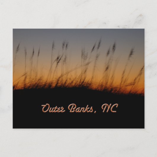 Carte Postale Outer Banks NC Sea Oats and Dunes at Sunset (Devant)