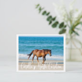 Carte Postale Outer Banks Wild Horse (Debout devant)